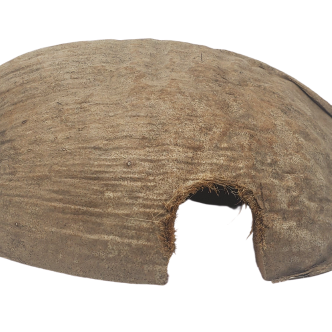 Coconut Husk 1/2 Round - Large