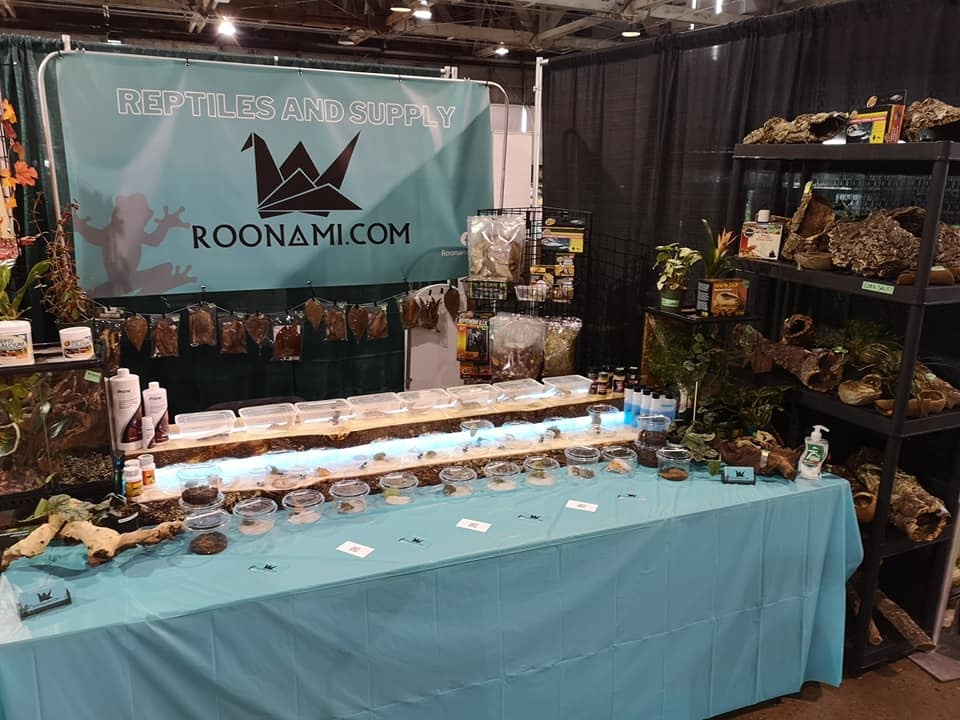 Edmonton-Reptile-expo-roonami-alberta-september-2021