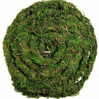 Galapagos MossVine for Tropical & Forest Tanks 12 Ft