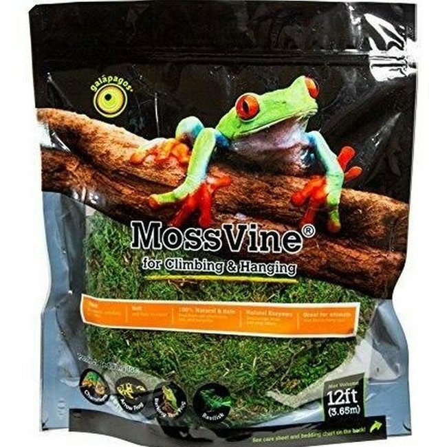 Galapagos MossVine for Tropical & Forest Tanks 12 Ft