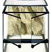 Exo Terra Exo Terra Terrarium 12" x 12" x 12"
