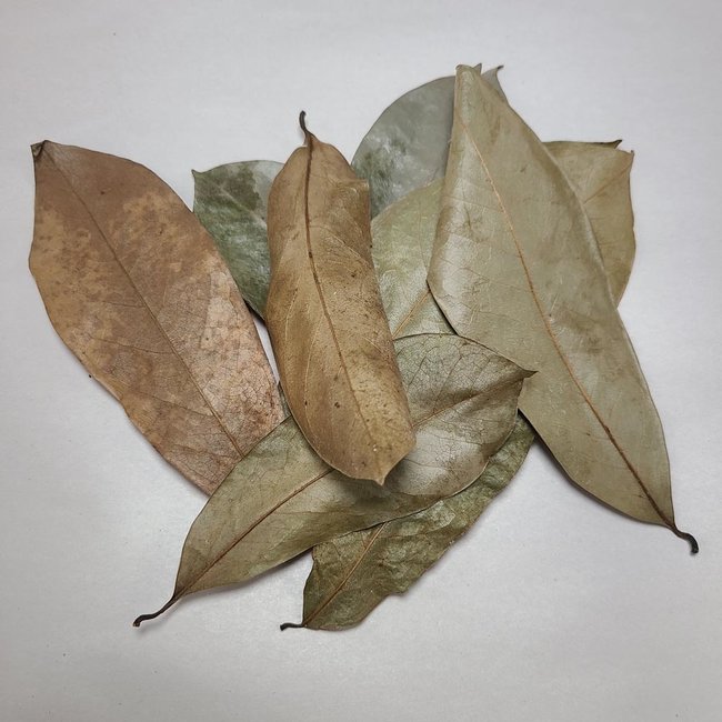 Roonami Soursop Dried Leaves 10 Pack