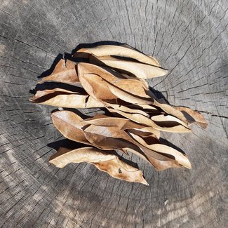 Roonami Durian Mix Size Dried Leaves