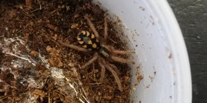 July & August Updates