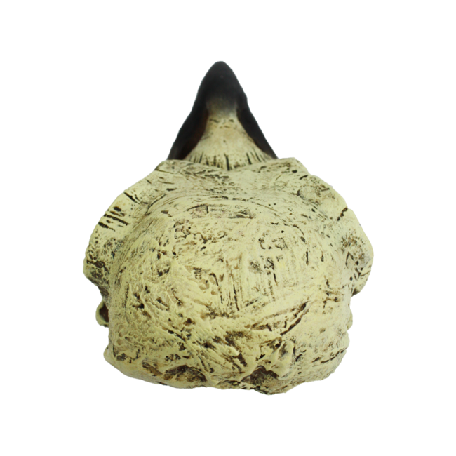 Komodo Raven Skull Medium Reptile Hide 6"