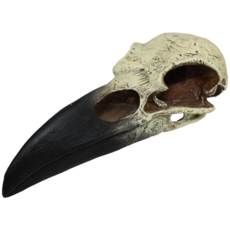 Komodo Komodo Raven Skull Large Reptile Hide 8"