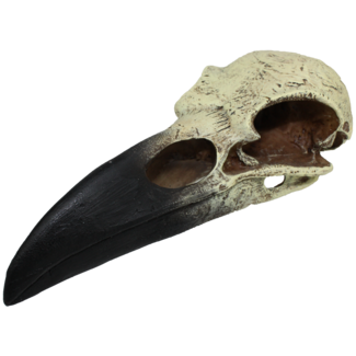 Komodo Raven Skull Large Reptile Hide 8"