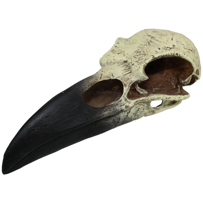 Komodo Raven Skull Large Reptile Hide 8"