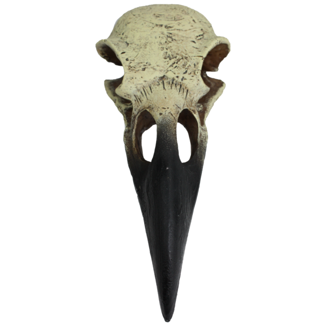 Komodo Raven Skull Large Reptile Hide 8"