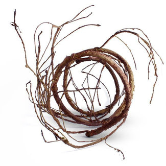 Pangea Ultimate Vine - Brown