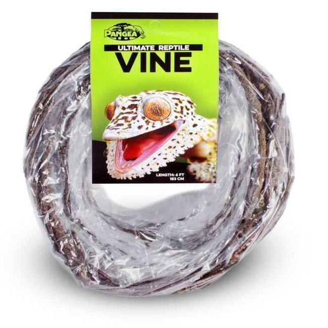 Pangea Ultimate Vine - Brown
