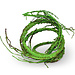 Pangea Pangea Ultimate Reptile Vine with Branches - Green