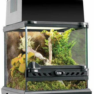 Exo Terra Exo Terra Glass Terrarium Nano Wide 8" x 8" x 8"