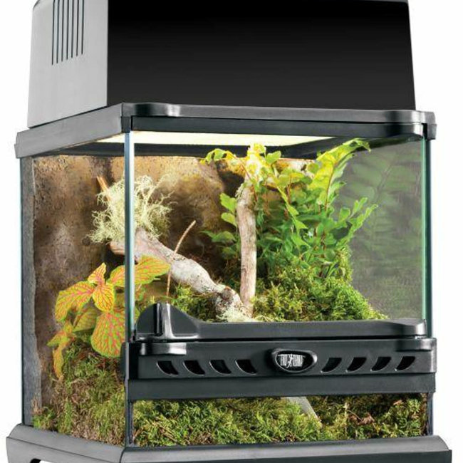 Exo Terra Glass Terrarium Nano Wide 8" x 8" x 8"