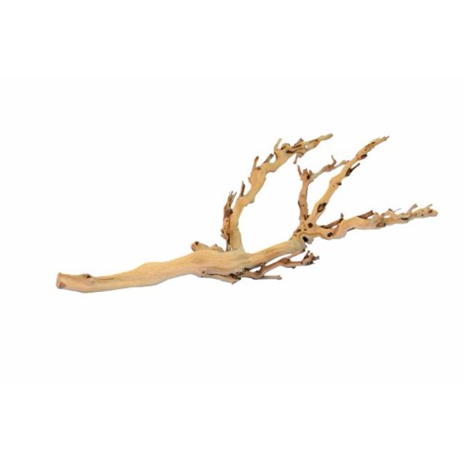 Exo Terra Forest Branch, Small 12" Sandblasted Grapewood
