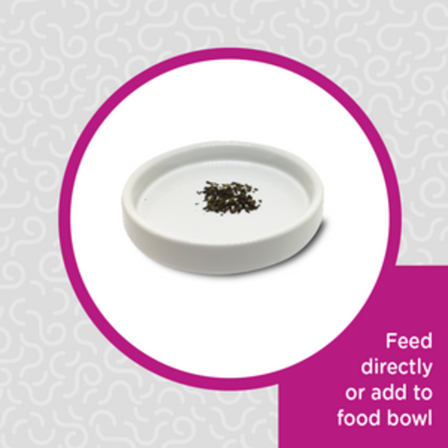 Obie's Worms Obie's Nibbles - Medium Ground BSFL