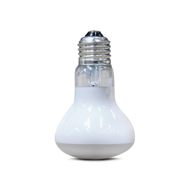 Arcadia Arcadia Solar Basking Floodlight, 50w