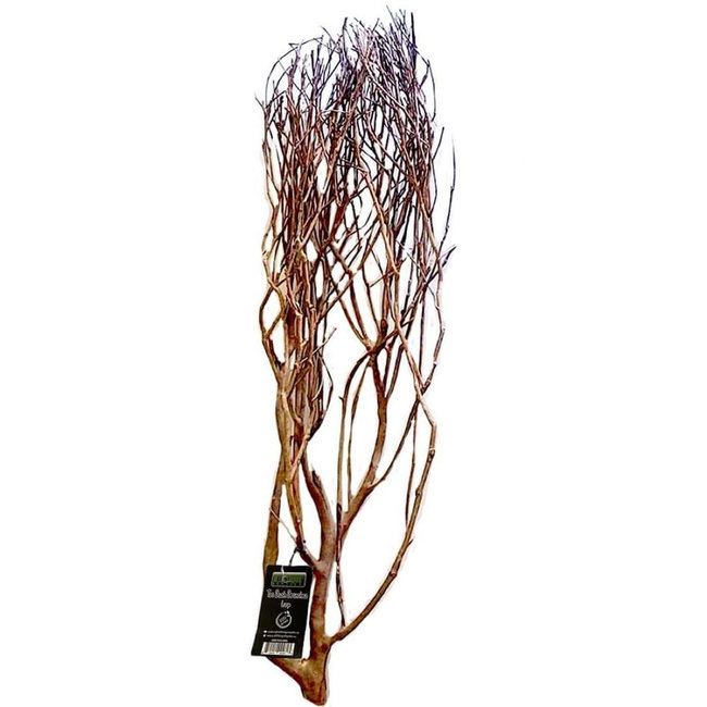All Things Reptile ATR Natural Tea Tree Bush - Large (approx. 32")