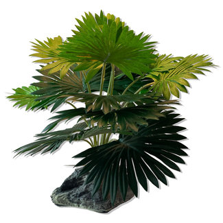 Habi-Scape Mini Fan Palm