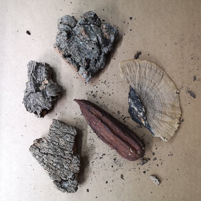 Tannin Pods & Cork - Cello Pack
