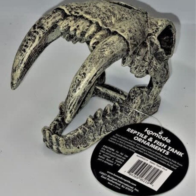 Komodo Komodo Saber Tooth Skull