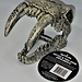 Komodo Saber Tooth Skull