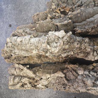 Cork Cork Bark Flat/Half