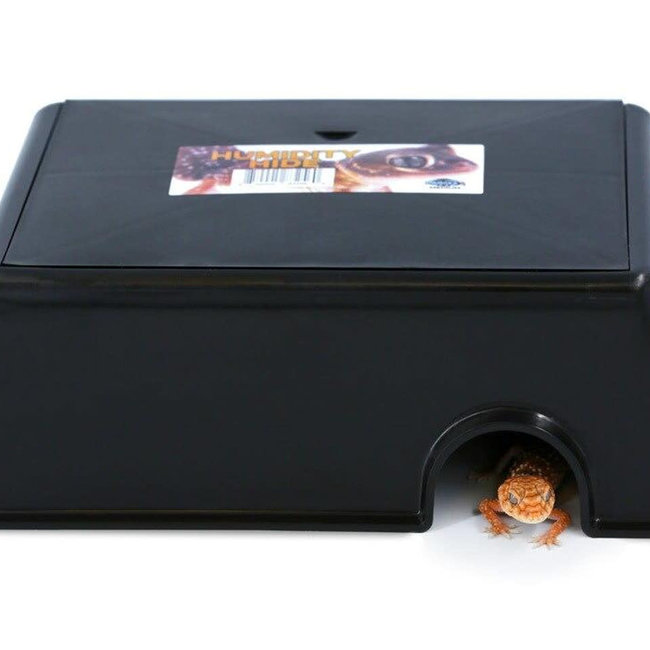 Pangea Pangea Humidity Hide Medium