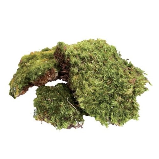 Zoo Med All Natural Frog Moss 80cu