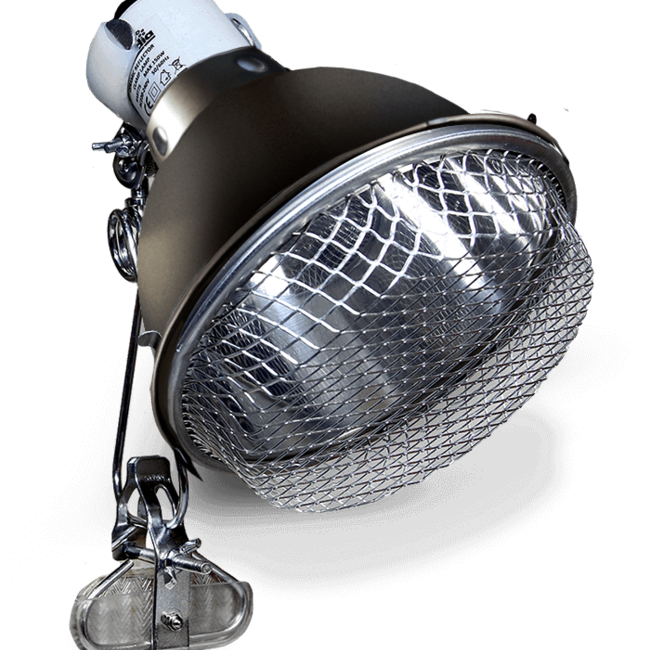Arcadia "GRAPHITE" Ceramic Dome Reflector Clamp Lamp 200mm / 8″