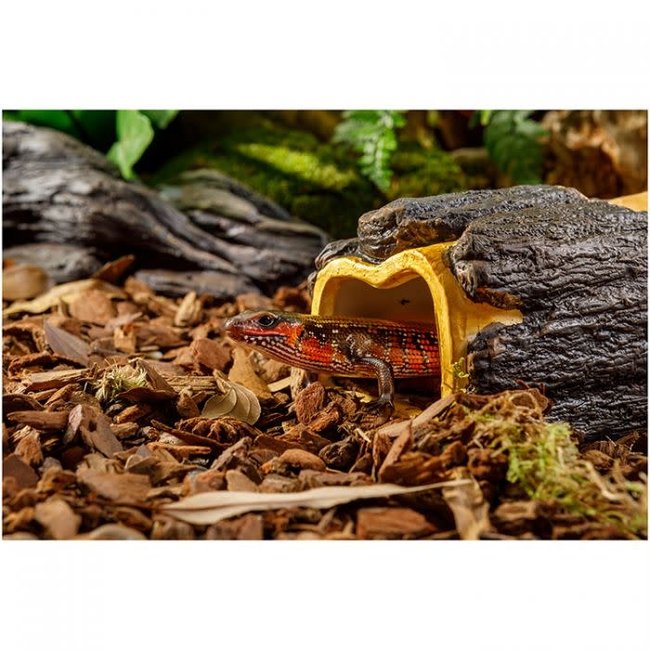 Exo Terra Wet Log, Medium