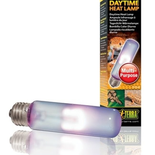 Exo Terra Daytime Heat Lamp - T10/40 W