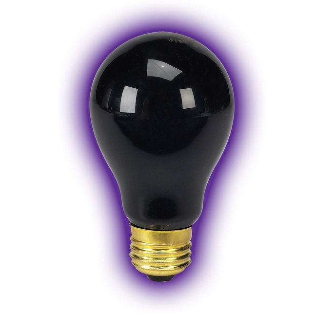 Zilla Zilla Incandescent Heat Bulb Night Black 75W