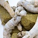 Silkworm Chow