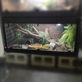 Cornel's World PVC Terrarium 4'x2'x2' with Acrylic Door