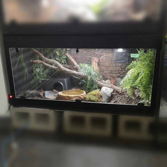 Cornel's World  PVC Terrarium 4'x2'x2' with Acrylic Door
