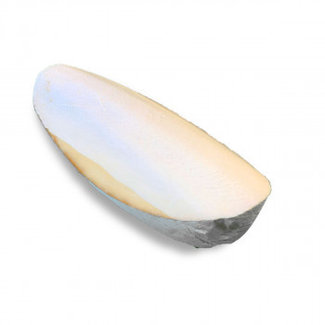 Cuttlebone 4-8" Thick
