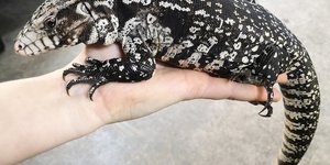 February 2023 Update