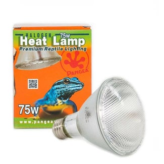 Pangea Pangea Halogen Heat Lamp 75w