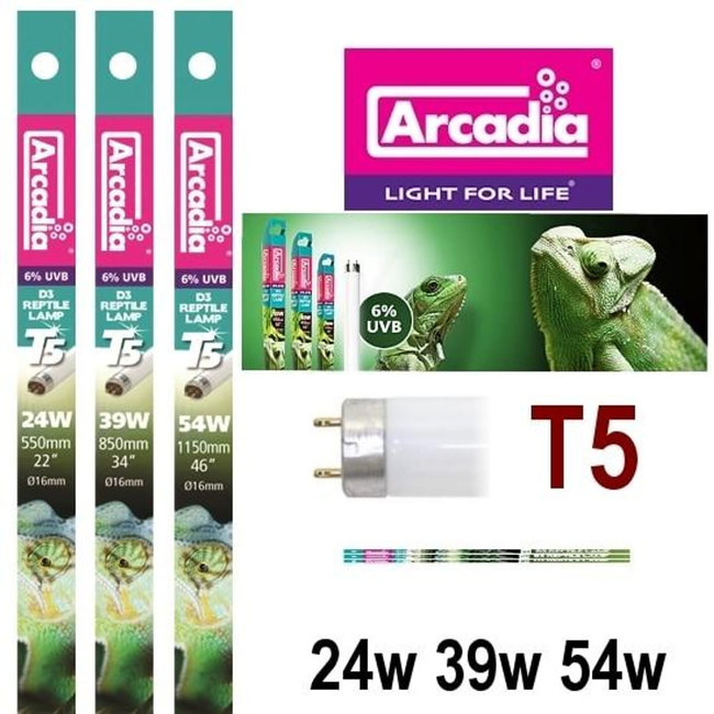 Arcadia Arcadia T5 D3+ Forest 6% UVB 24w 22" Replacement