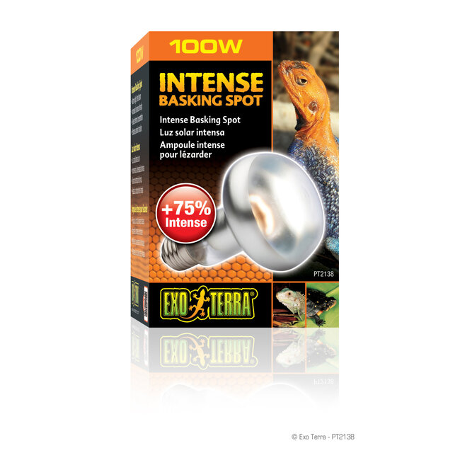 Exo Terra Intense Basking Spot 100W