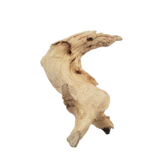 Malaysian Driftwood Mini/Light Color