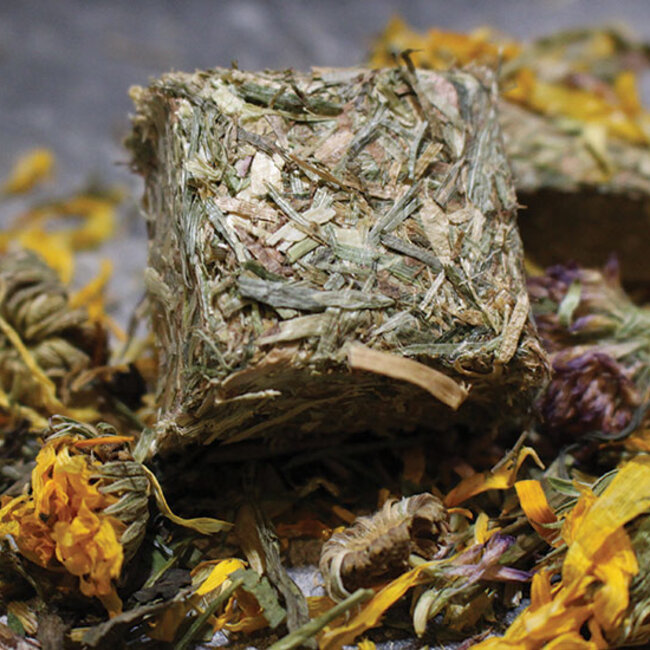 Arcadia Arcadia Reptile EarthPro Optimised52 Tortoise Food