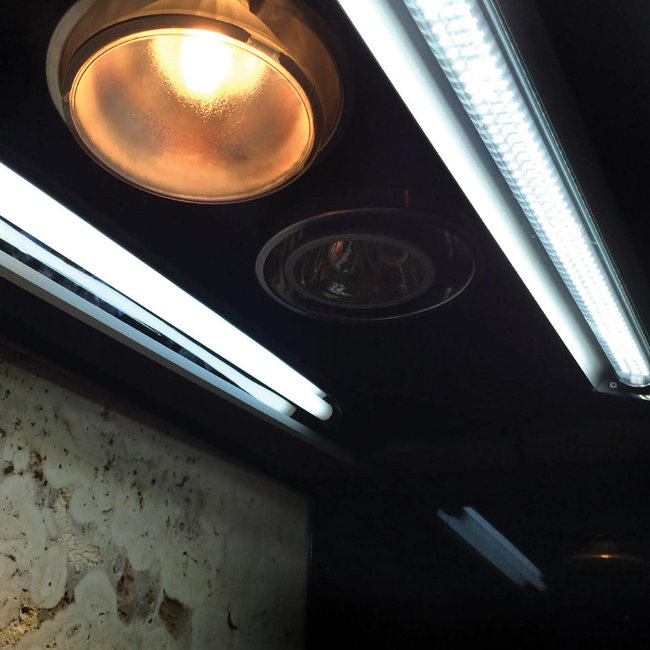 Arcadia ThermalZoo Pro (Pro T5 UVB 6% / JD LED 34W)