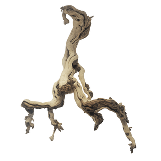Jurassic Sandblasted Grapewood S5 32" to 34"
