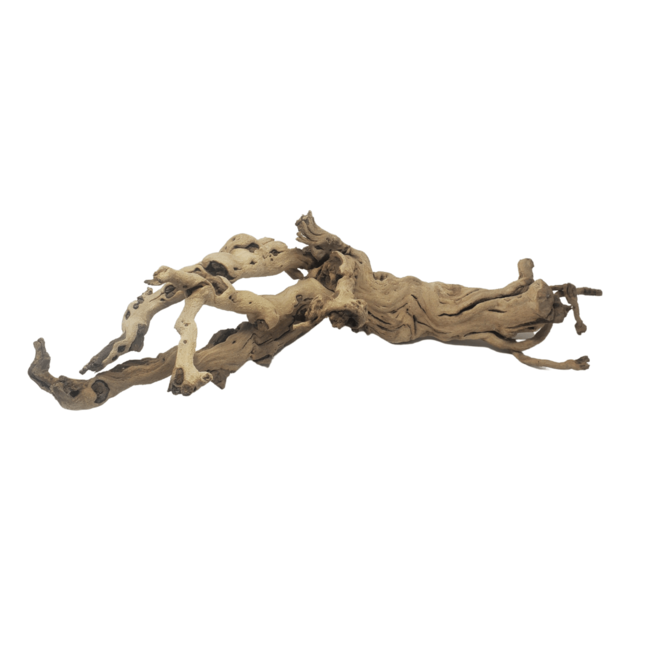 Sandblasted Grapewood S3 - 24" to 28"