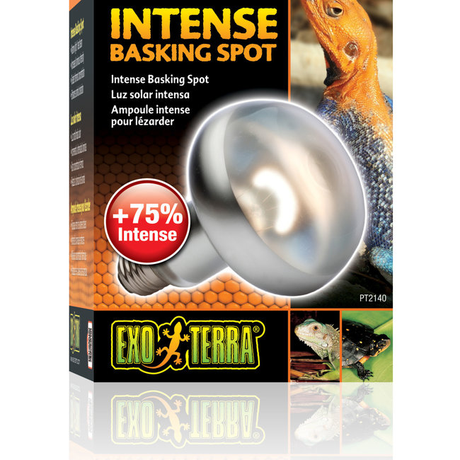 Exo Terra Intense Basking Spot 150W