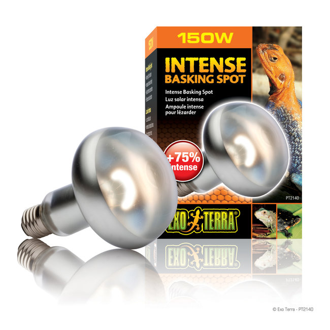 Exo Terra Intense Basking Spot 150W