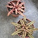 Live Plant Earth Star Crypthanthus 4" Live Plant Earth Star Crypthanthus 4"