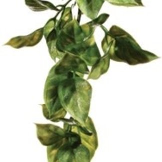 Exo Terra Exo Terra Shrub Plant Amapallo - Large